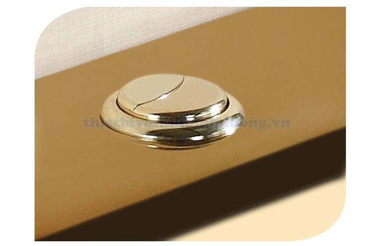 Bồn cầu mạ vàng cao cấp TL 2062 Gold